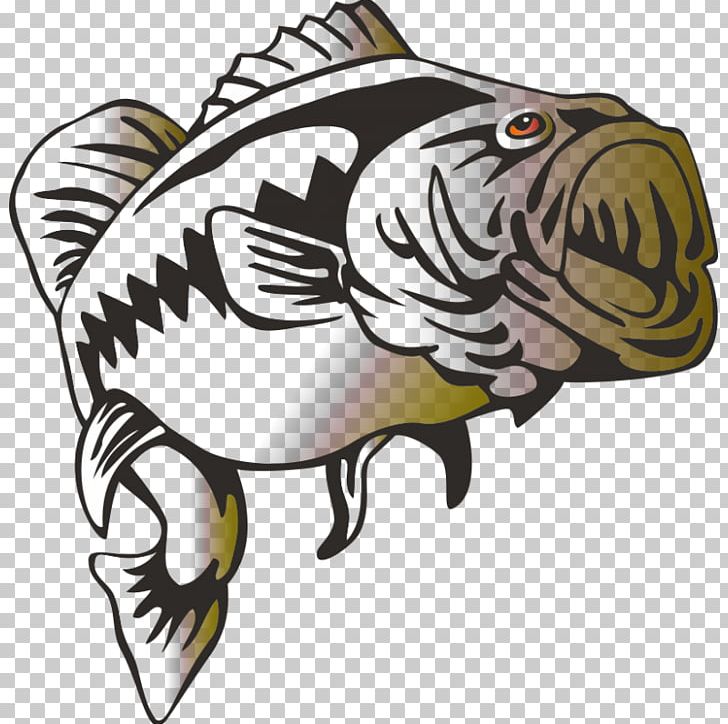 Largemouth Bass Bass Fishing PNG, Clipart, Bass, Bass Fish, Bass Fishing, Carnivoran, Drawing Free PNG Download