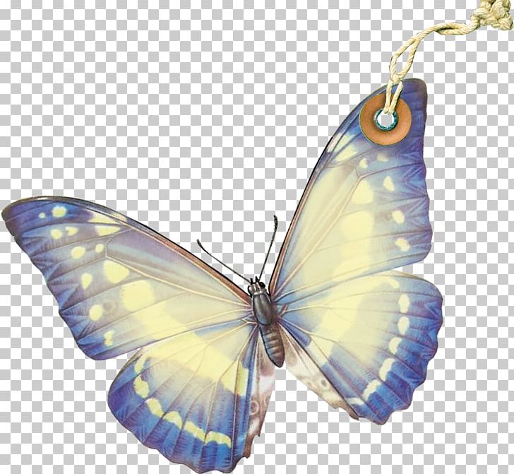 Monarch Butterfly Moth Pieridae Gossamer-winged Butterflies PNG, Clipart, Animaatio, Animal, Art, Arthropod, Beauty Free PNG Download