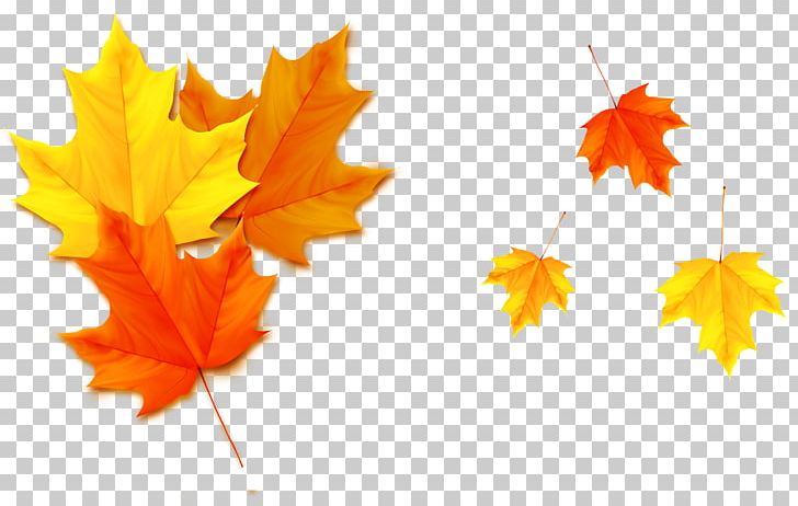 Autumn Leaf Poster PNG, Clipart, Autumn, Banana Leaves, Computer Wallpaper, Creative Autumn, Deciduous Free PNG Download