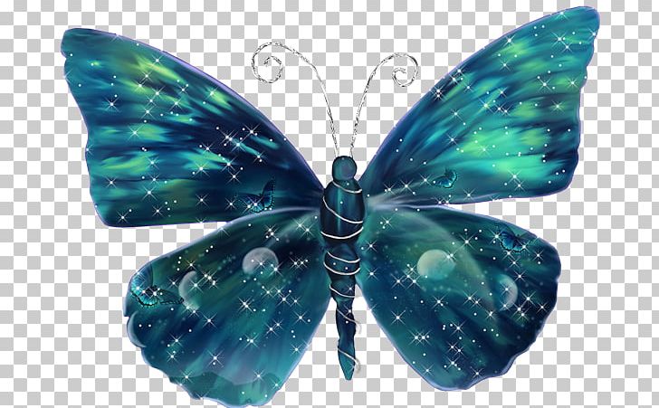Butterfly Butterflies In Colour Butterflies & Insects PNG, Clipart, Arthropod, Blue, Blue Butterfly, Butte, Butterflies And Moths Free PNG Download