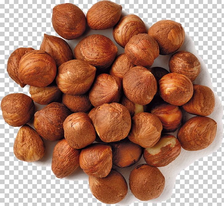 Common Hazel Filbert Hazelnut Dried Fruit PNG, Clipart, Cashew, Chocolate, Chocolate Spread, Common Hazel, Dried Fruit Free PNG Download