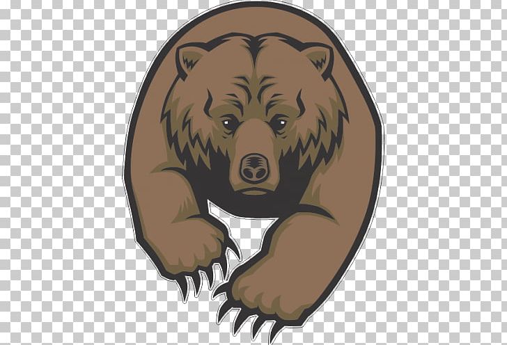 Brown Bear Giant Panda PNG, Clipart, Animals, Bear, Brown Bear, Carnivoran, Drawing Free PNG Download