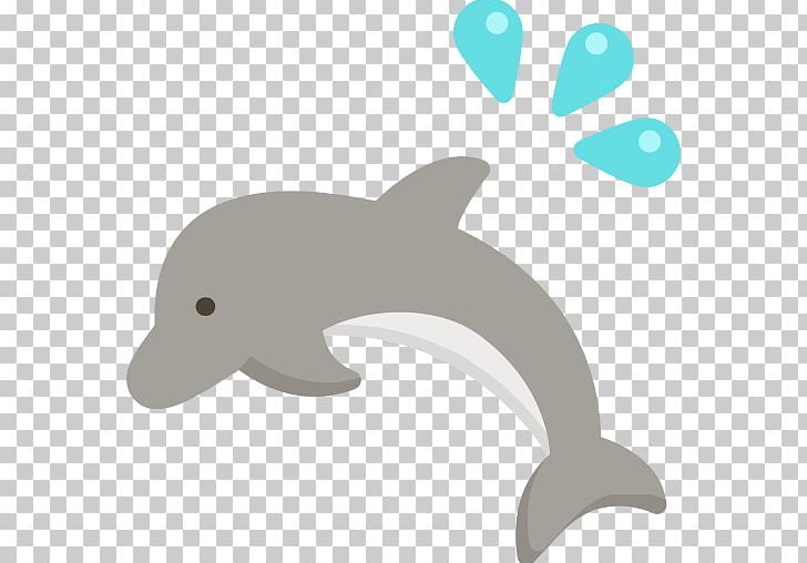 Common Bottlenose Dolphin Tucuxi Porpoise PNG, Clipart, Animals, Beak, Biology, Bottlenose Dolphin, Cartoon Free PNG Download