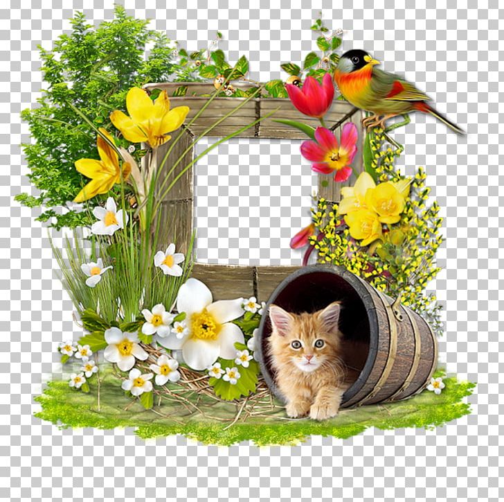 Floral Design Cat Cut Flowers Blog PNG, Clipart,  Free PNG Download