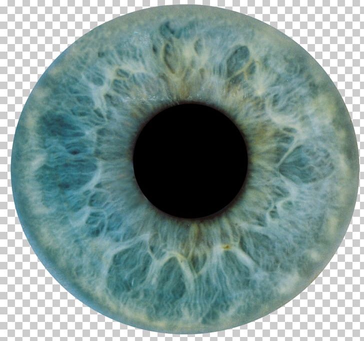 Human Eye Iris Anatomy Light PNG, Clipart, Anatomy, Circle, Closeup, Color, Cornea Free PNG Download
