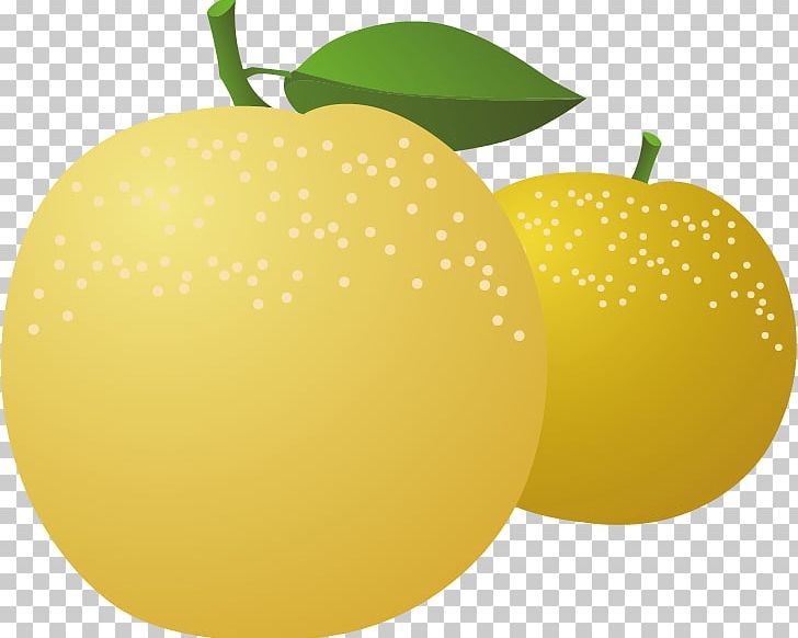 Lemon Asian Pear PNG, Clipart, Adobe Illustrator, Apple Fruit, Citrus, Encapsulated Postscript, Food Free PNG Download