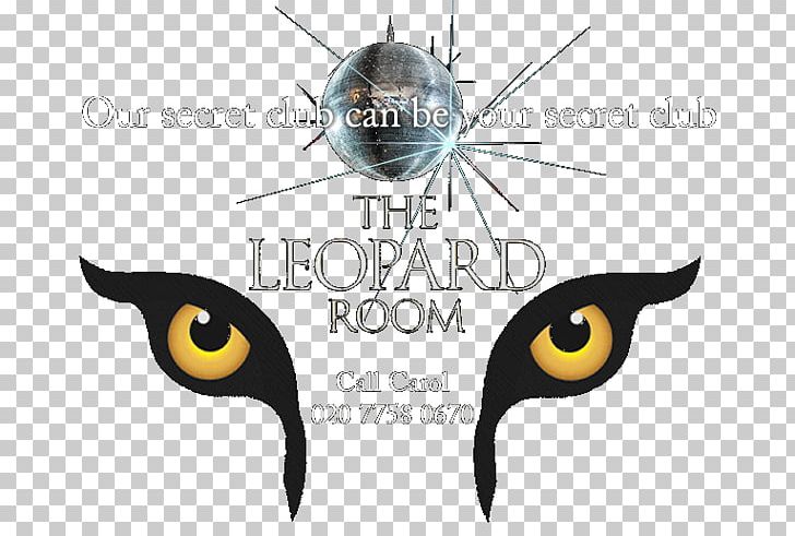 Soho Logo Brand Leopard Font PNG, Clipart, Beak, Brand, David Walliams, Eye, Graphic Design Free PNG Download