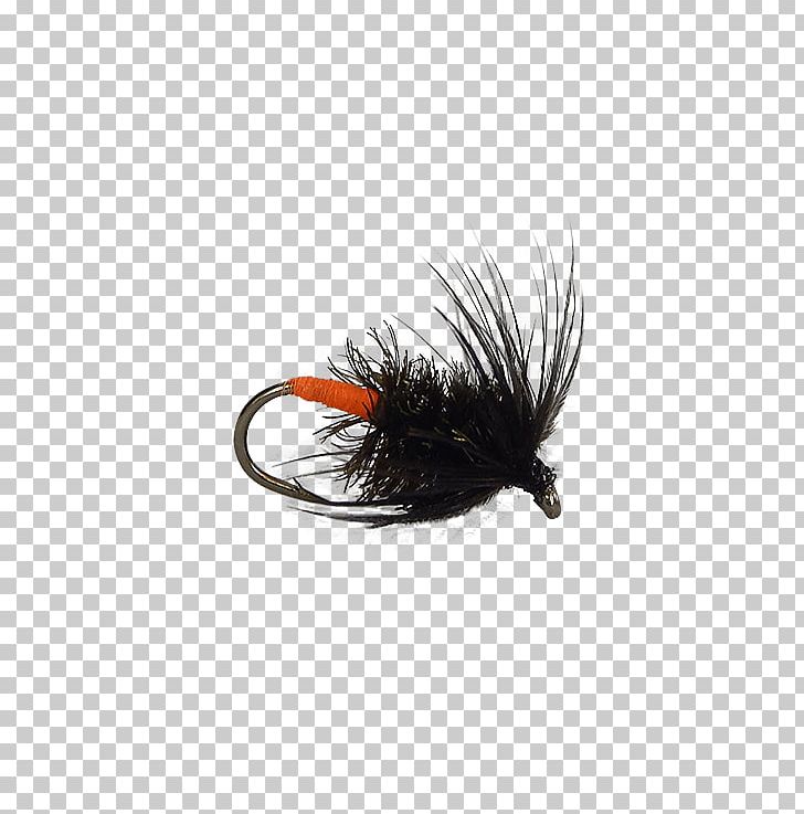 Insect Wing Artificial Fly PNG, Clipart, Artificial Fly, Fishing Bait, Fly, Insect, Insect Wing Free PNG Download