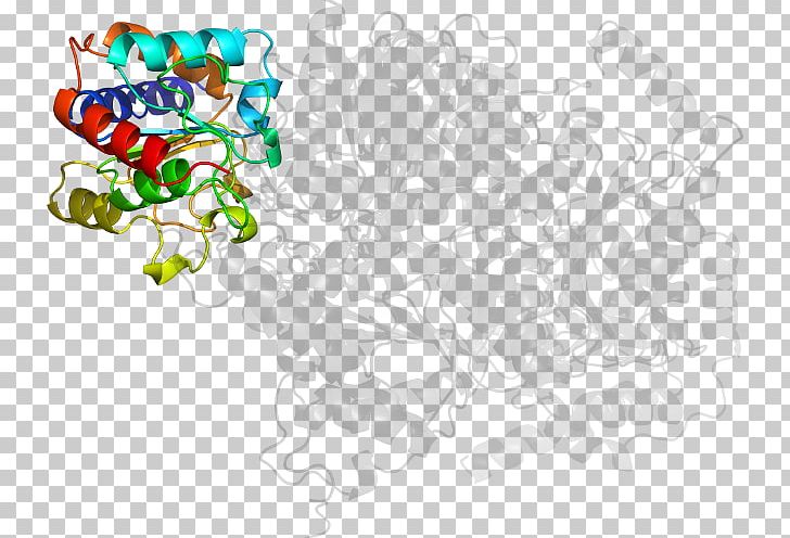 Leaf Line PNG, Clipart, Acetolactate Synthase, Area, Graphic Design, Leaf, Line Free PNG Download