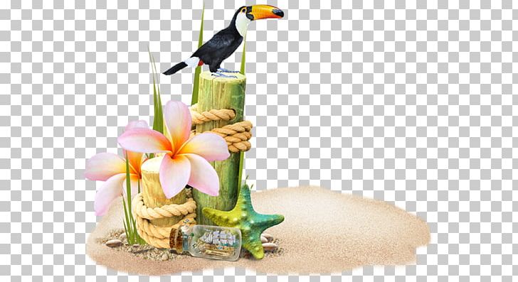 Beach Photography Others PNG, Clipart, Beach, Bird, Clip Art, Computer Icons, Cover Art Free PNG Download