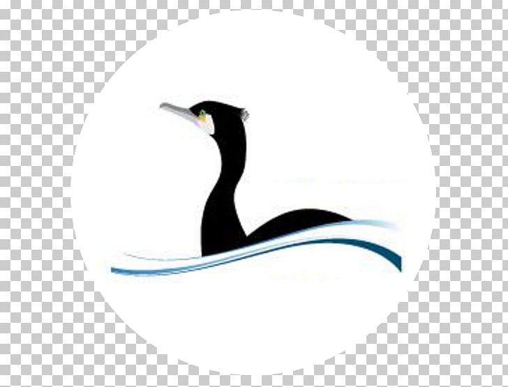Penguin IJsselmeervereniging Water Bird PNG, Clipart, Animals, Beak, Bird, Cygnini, De Fryske Free PNG Download
