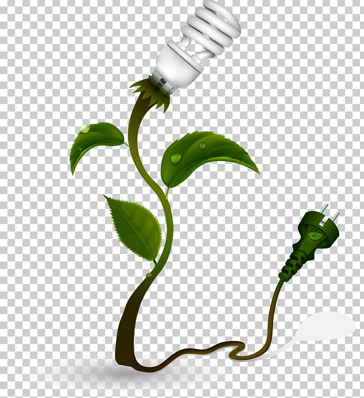 Renewable Energy Solar Energy Energy Conservation Stock Photography PNG, Clipart, Branch, Bulb, Commercial Use, Ecology, Energy Free PNG Download