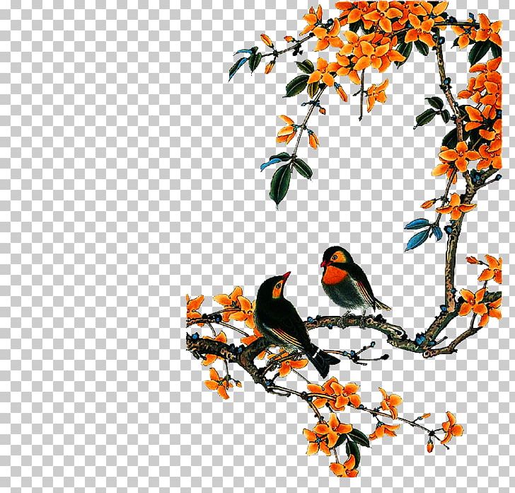 Bird-and-flower Painting Chinese Painting China Central Academy Of Fine Arts PNG, Clipart, Art, Beak, Bird, Birdandflower Painting, Bird Cage Free PNG Download