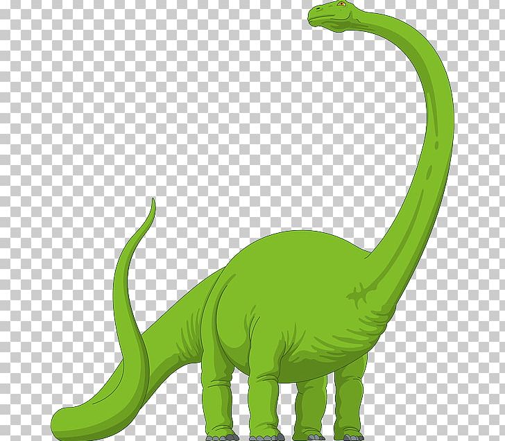 Brachiosaurus Diplodocus Megalosaurus Apatosaurus Dinosaur PNG, Clipart, Animal Figure, Apatosaurus, Brachiosaurus, Carnivoran, Cat Like Mammal Free PNG Download