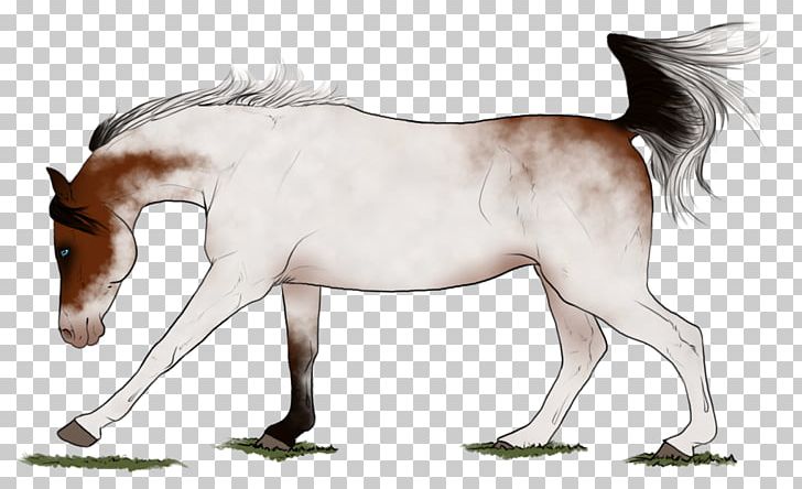 Mane Foal Stallion Colt Mustang PNG, Clipart, Bridle, Colt, Fictional Character, Foal, Hair Free PNG Download