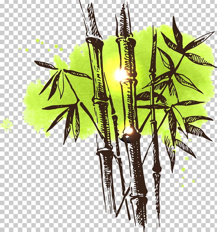 Bamboo Drawing Watercolor Painting Illustration PNG, Clipart, Bamboo Border, Bamboo Frame, Bamboo Leaves, Bamboo Tree, Bamboo Vector Free PNG Download
