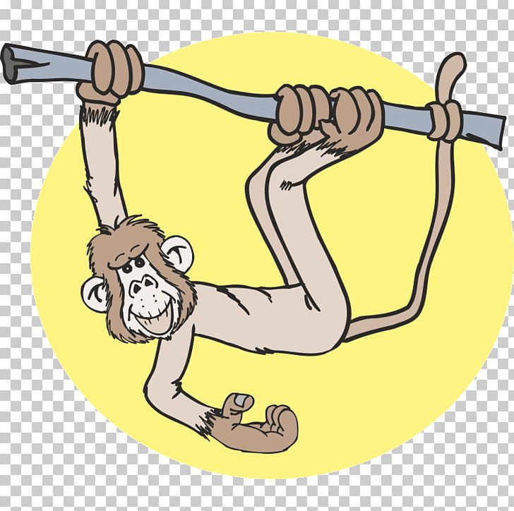 Monkey Finger PNG, Clipart, Animals, Area, Arm, Cartoon, Download Free PNG Download