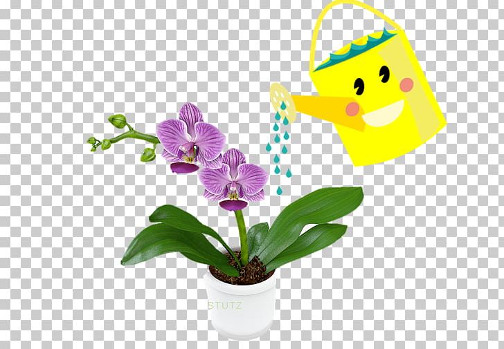 Orchids Flowering Plant Moth Orchid Crop PNG, Clipart, Benih, Crop, Cut Flowers, Flora, Floral Design Free PNG Download