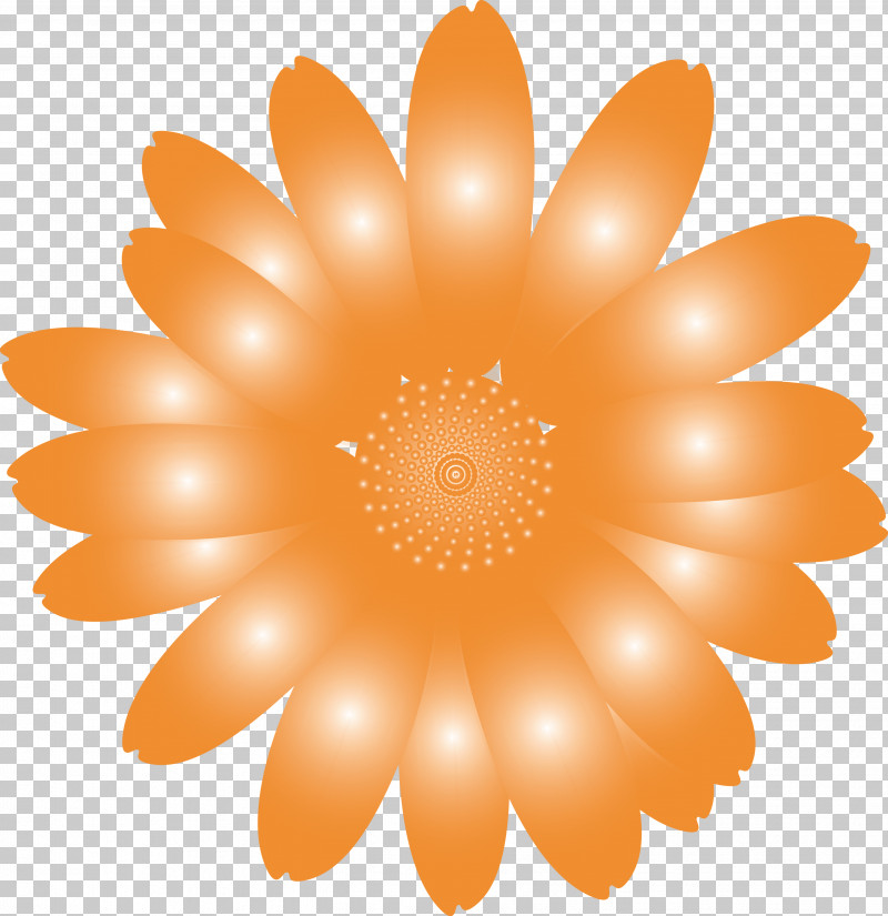 Marguerite Flower Spring Flower PNG, Clipart, Daisy Family, English Marigold, Flower, Gerbera, Marguerite Flower Free PNG Download