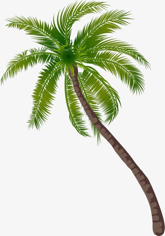 Beach Coconut Tree Pattern PNG, Clipart, Beach, Beach Clipart, Beach Clipart, Cartoon, Coconut Free PNG Download