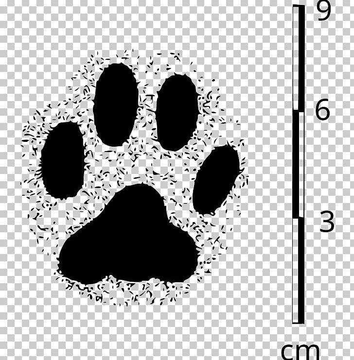 Cat Chihuahua Paw Pet Dog Grooming PNG, Clipart, Animals, Black, Black And White, Bone, Cat Free PNG Download