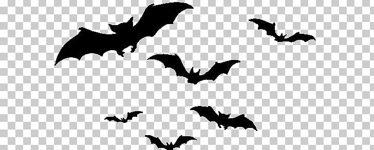 Halloween Bat PNG, Clipart, Animal Migration, Animation, Bat, Beak, Bird Free PNG Download