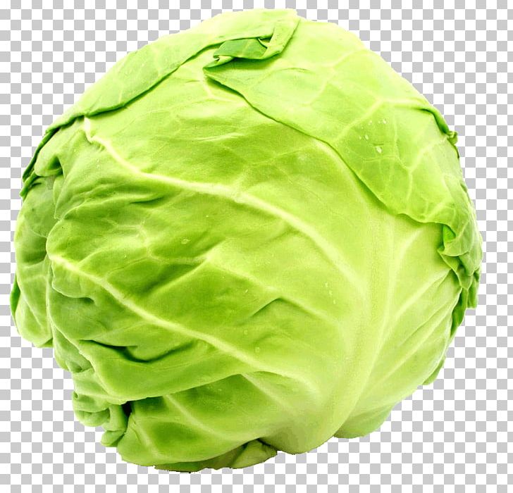 Cabbage Roll Carrot Napa Cabbage Vegetable PNG, Clipart, Brassica Rapa, Cabbage, Cabbage Roll, Carrot, Cauliflower Free PNG Download