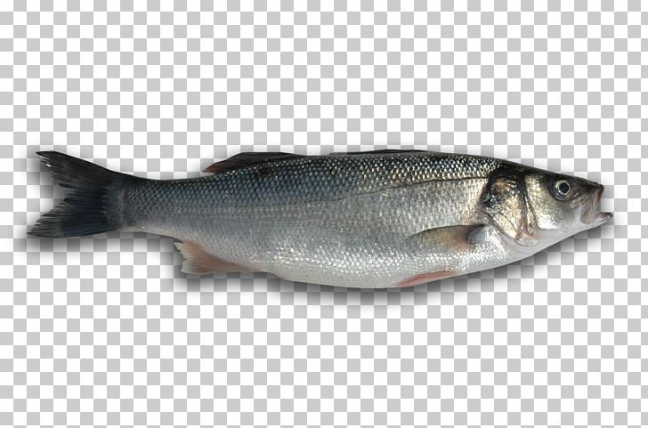 Fish Soup Seafood European Bass PNG, Clipart, Animals, Animal Source Foods, Barramundi, Bass, Bony Fish Free PNG Download