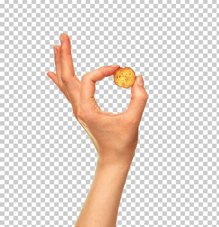 Thumb Hand Model PNG, Clipart, Finger, Hand, Hand Model, Thumb Free PNG Download