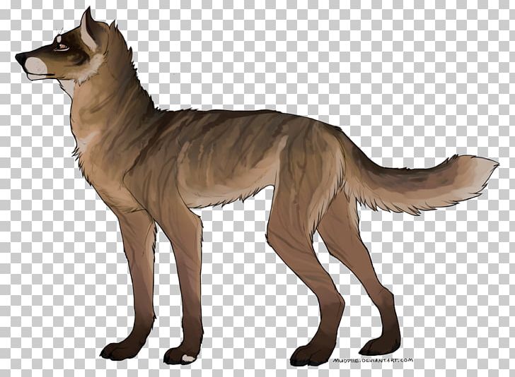 Dog Breed Jackal Fauna Fur PNG, Clipart, Animals, Breed, Carnivoran, Dog, Dog Breed Free PNG Download