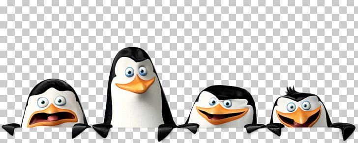 Kowalski Madagascar Skipper Desktop PNG, Clipart, Animal Figure, Animation, Beak, Bird, Computer Icons Free PNG Download