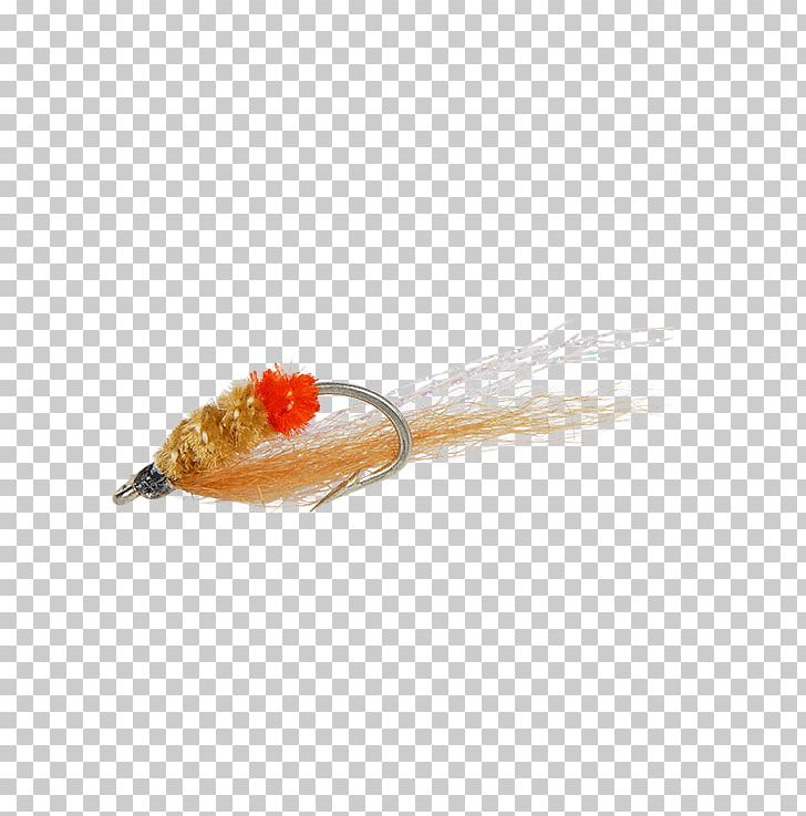 Snapping Shrimp Fly Fishing PNG, Clipart, Animals, Animal Source Foods, Dinner, Email, Fish Free PNG Download