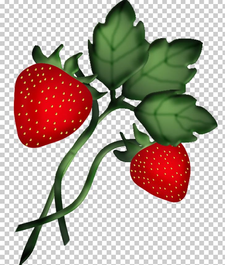 Strawberry Accessory Fruit Amorodo Food PNG, Clipart, 5 A Day, Accessory Fruit, Amorodo, Auglis, Berry Free PNG Download