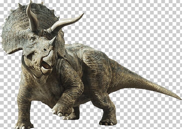Triceratops Brachiosaurus Gallimimus Stegosaurus Tyrannosaurus PNG, Clipart, Allosaurus, Baby Triceratops, Brachiosaurus, Dinosaur, Extinction Free PNG Download