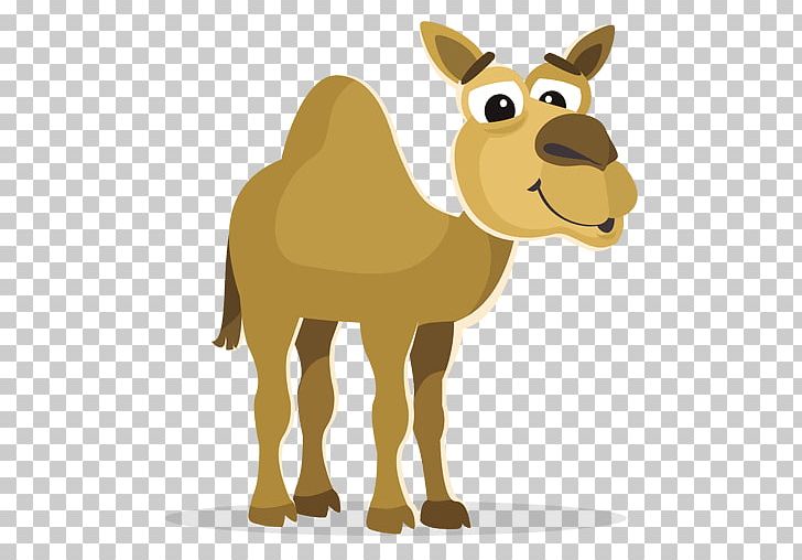 Bactrian Camel Dromedary PNG, Clipart, Arabian Camel, Bactrian Camel, Camel, Camel Like Mammal, Cartoon Free PNG Download