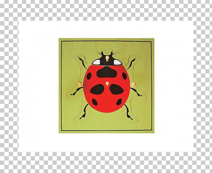 Jigsaw Puzzles Montessori Sensorial Materials Educational Toys Ladybug Puzzle PNG, Clipart, 15 Puzzle, Anaokulu, Beetle, Biology, Child Free PNG Download