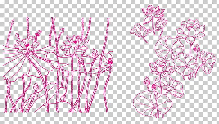 Nelumbo Nucifera Drawing Line Art PNG, Clipart, Abstract Lines, Art, Branch, Curved Lines, Download Free PNG Download