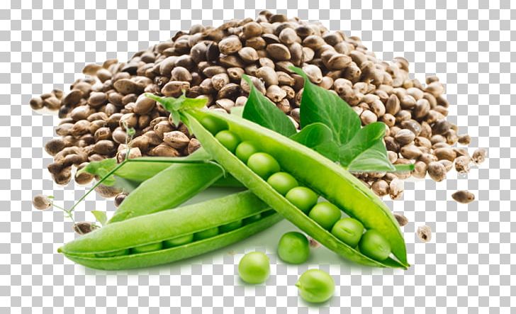 Pea Vegetarian Cuisine Health Vegetarianism Food PNG, Clipart, Bean, Commodity, Diet, Eating, Food Free PNG Download