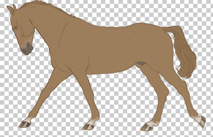 Mustang Foal Stallion Mare Colt PNG, Clipart, Animal Figure, Bridle, Colt, Equestrian, Equestrian Sport Free PNG Download