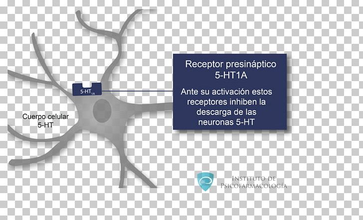 5-HT1A Receptor 5-HT Receptor Agonist Serotonin PNG, Clipart, 5ht1a Receptor, 5ht3 Receptor, 5ht Receptor, Agonist, Brand Free PNG Download