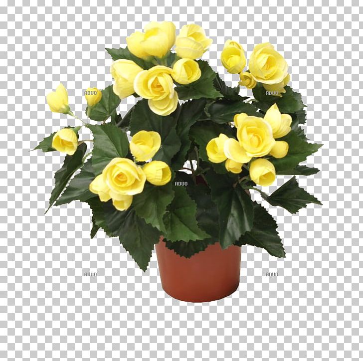 Floral Design Cut Flowers Garland Flowerpot PNG, Clipart, 7000, Begonia, Begonia Coccinea, Common Daisy, Crocus Free PNG Download