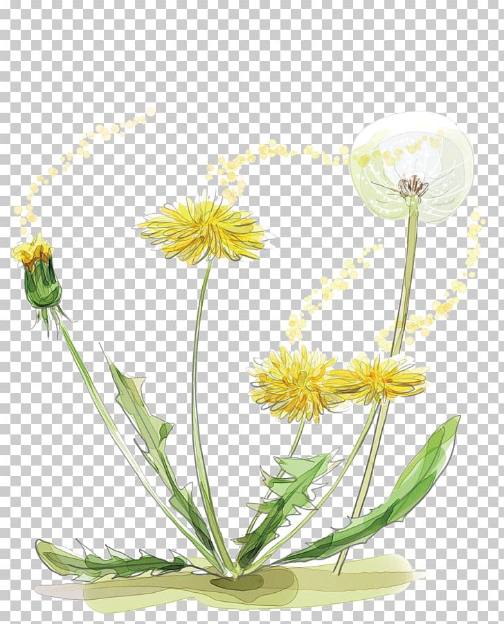 Dandelion Watercolor Painting Plant PNG, Clipart, Art, Bouquet Of Flowers, Chrysanths, Common Sunflower, Creative Work Free PNG Download