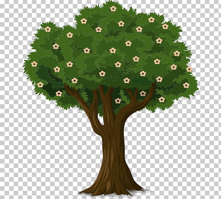 Fruit Tree Flower PNG, Clipart, Bearing Cliparts, Blossom, Branch, Flower, Flowerpot Free PNG Download