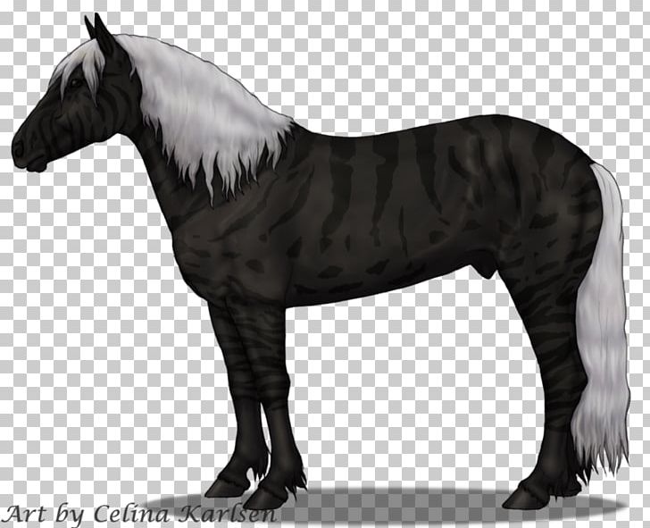 Mustang Stallion Pony Stock Photography PNG, Clipart, Black And White, Fur, Halter, Horse, Horse Harness Free PNG Download