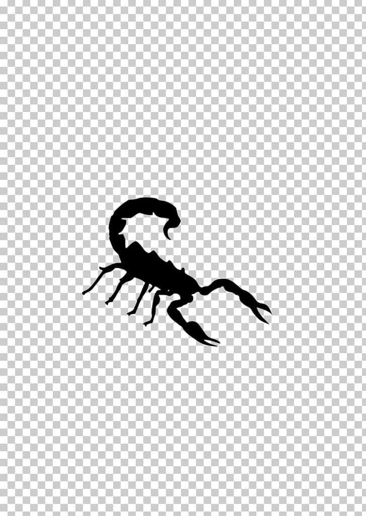 Scorpion Photography PNG, Clipart, Arthropod, Artwork, Black, Black And White, Clip Free PNG Download