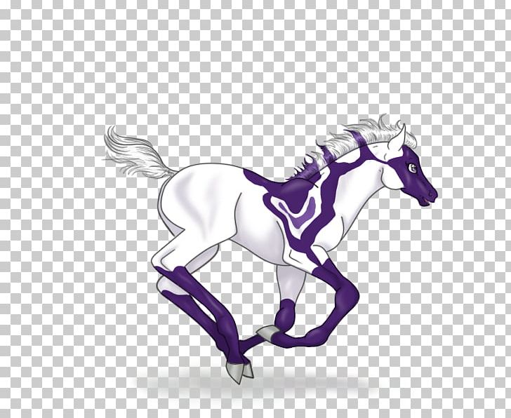 Pony Mane Mustang Stallion Halter PNG, Clipart, Bit, Bridle, Cartoon, Colt, Drawing Free PNG Download