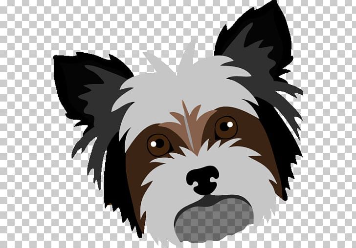 Yorkshire Terrier Cairn Terrier Puppy Shih Tzu Dog Breed PNG, Clipart, Animals, Bichon, Bichon Frise, Breed, Cairn Terrier Free PNG Download