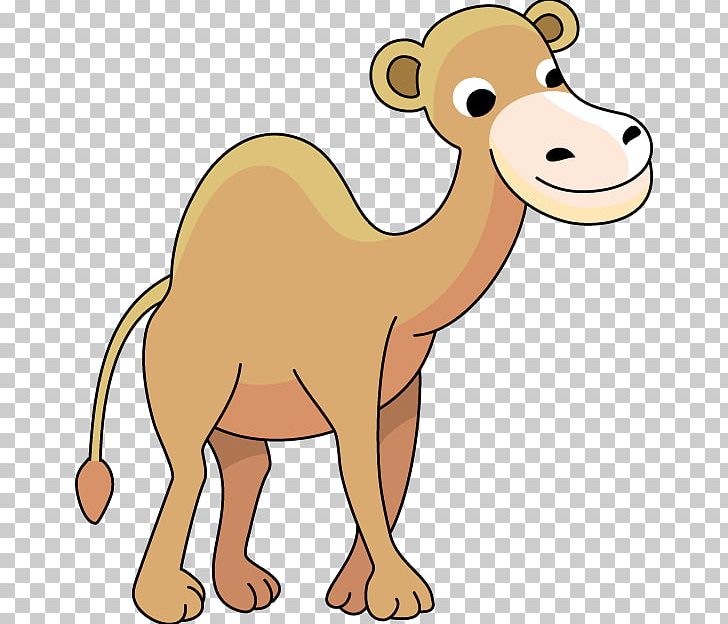 Bactrian Camel PNG, Clipart, Animal Figure, Arabian Camel, Bactrian Camel, Beak, Camel Free PNG Download