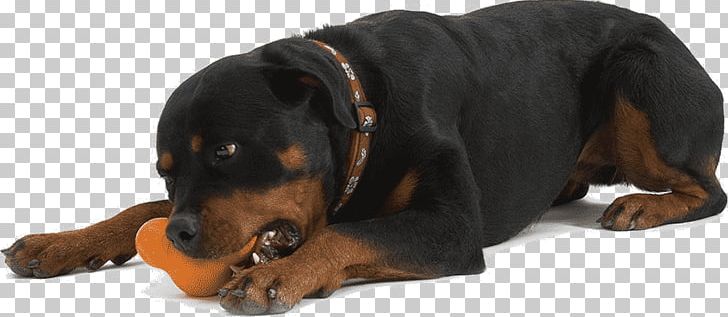Dog Toys Puppy Chew Toy West Paw PNG, Clipart, Animals, Austrian Black And Tan Hound, Black And Tan Coonhound, Carnivoran, Chewing Free PNG Download