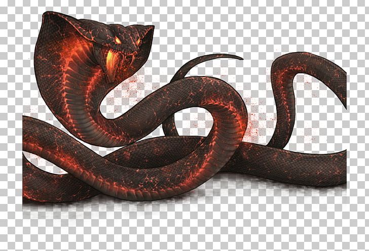 Kingsnakes Elapid Snakes Colubrid Snakes Metal PNG, Clipart, Colubridae, Colubrid Snakes, Destroyer, Elapidae, Kingsnake Free PNG Download